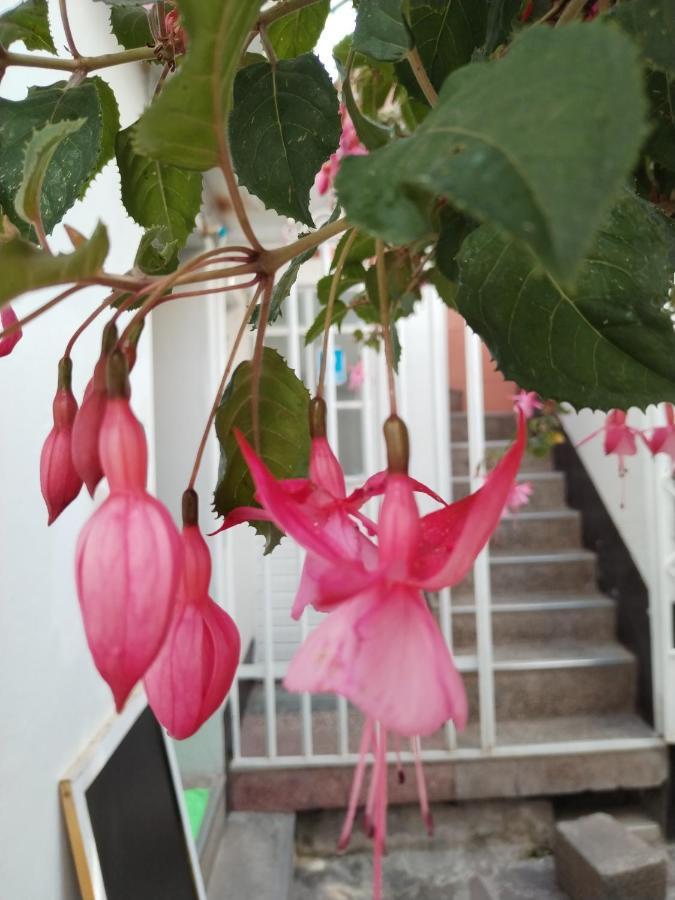 Cusco Vista Guest House Екстериор снимка